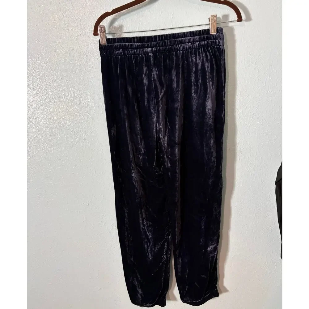 J.Crew Velvet Jogger Pants 0 Deep Purple Drawstring Pull On Witchy Whimsigoth